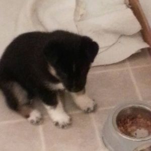 Meet your Posher, Scott